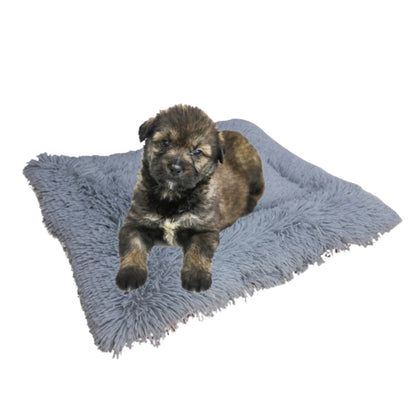 Coussin chat doux pliable et lavable