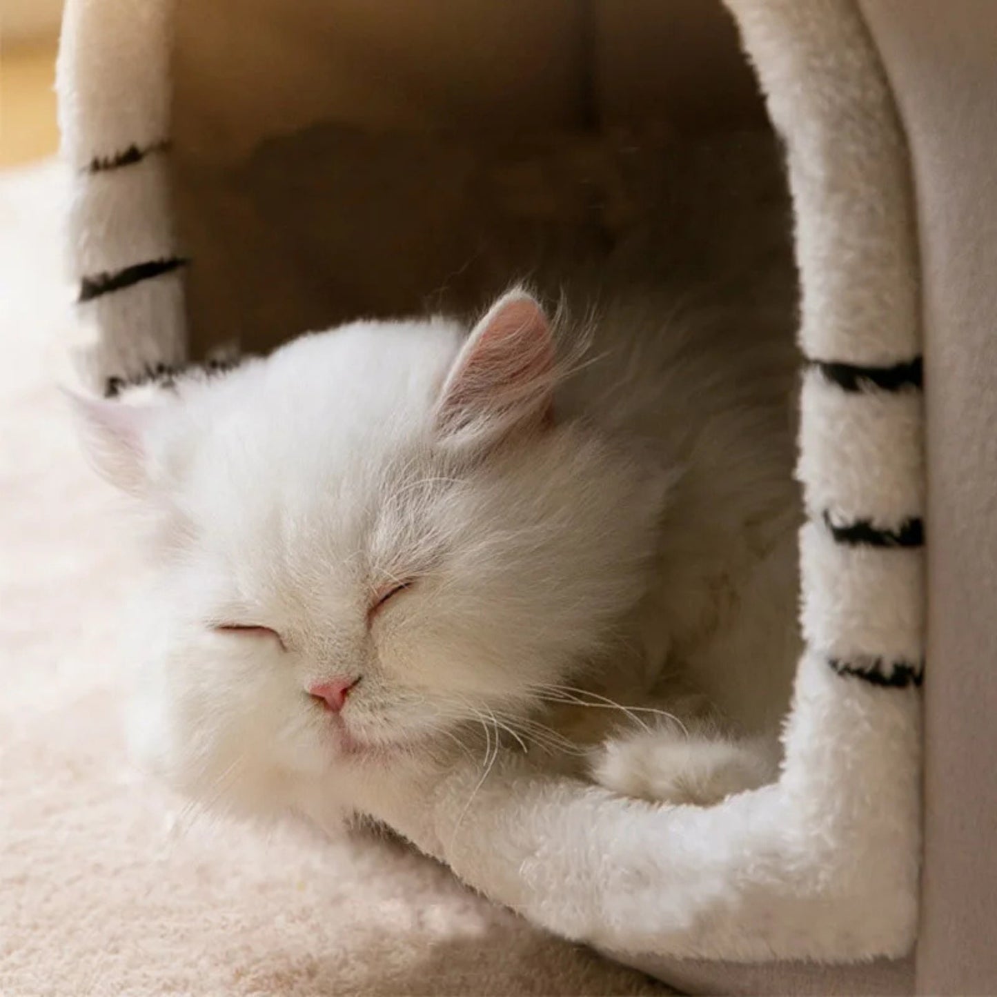 Coussin chat en forme de maison
