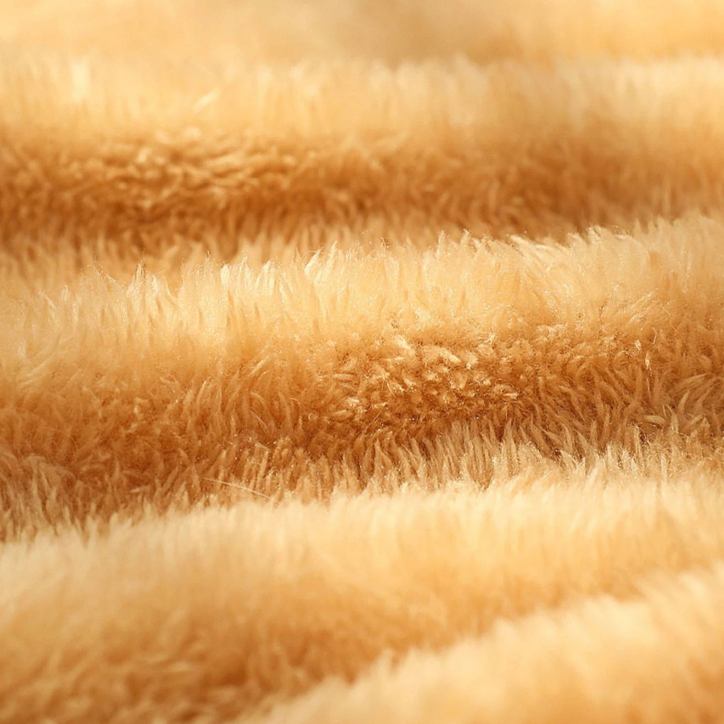 Coussin chat épais tout confort
