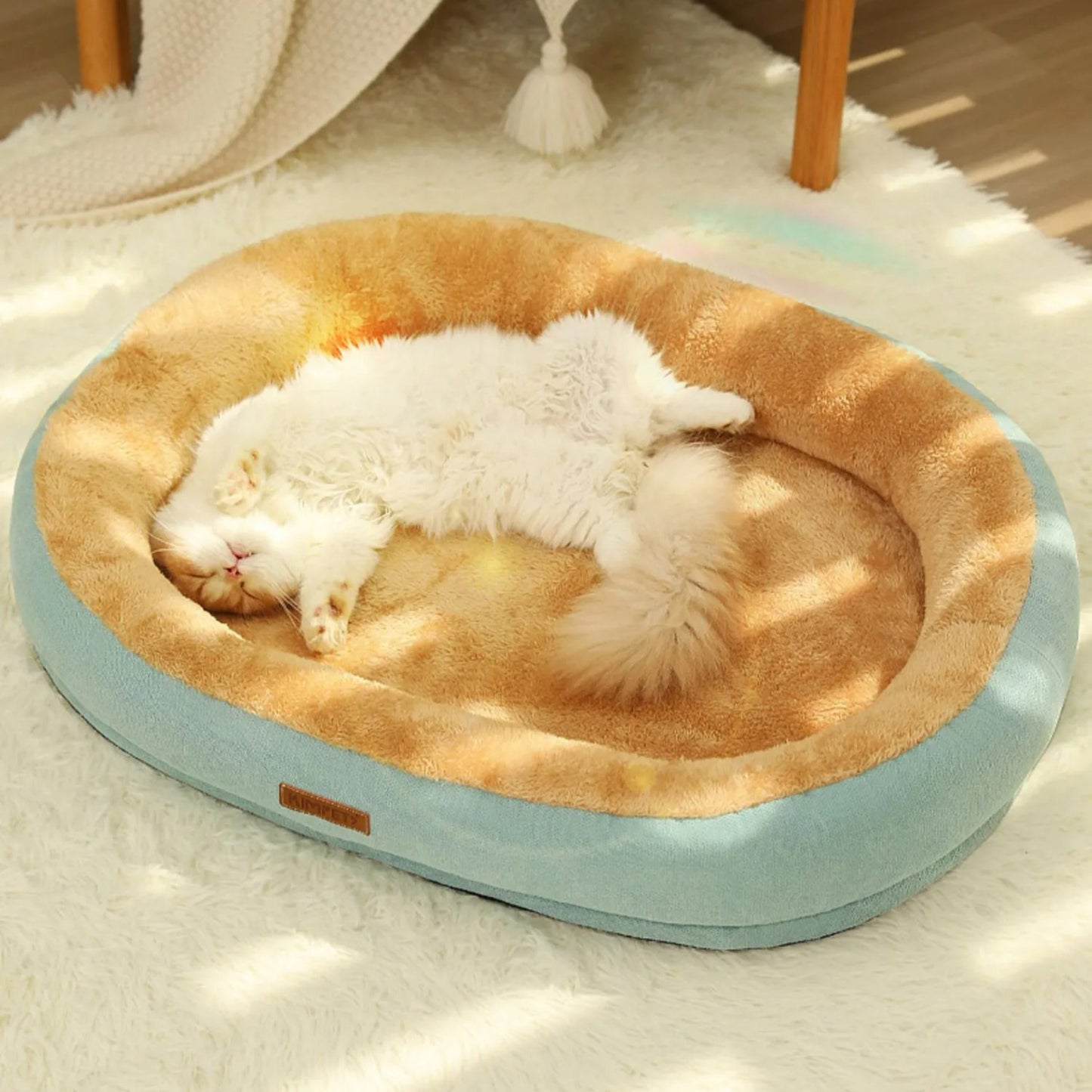 Coussin chat épais tout confort