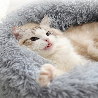 Coussin chat rond doux et lavable