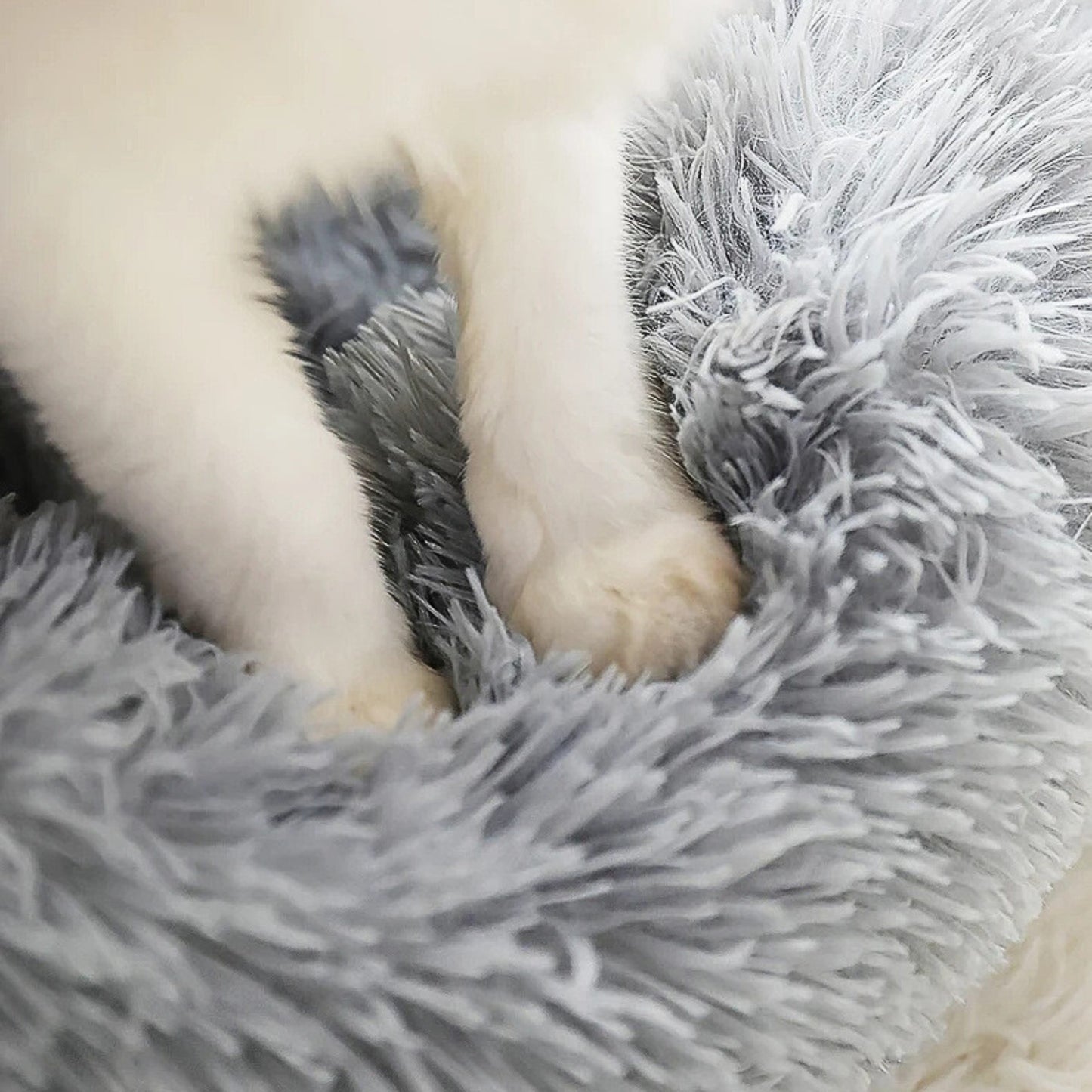 Coussin chat rond doux et lavable