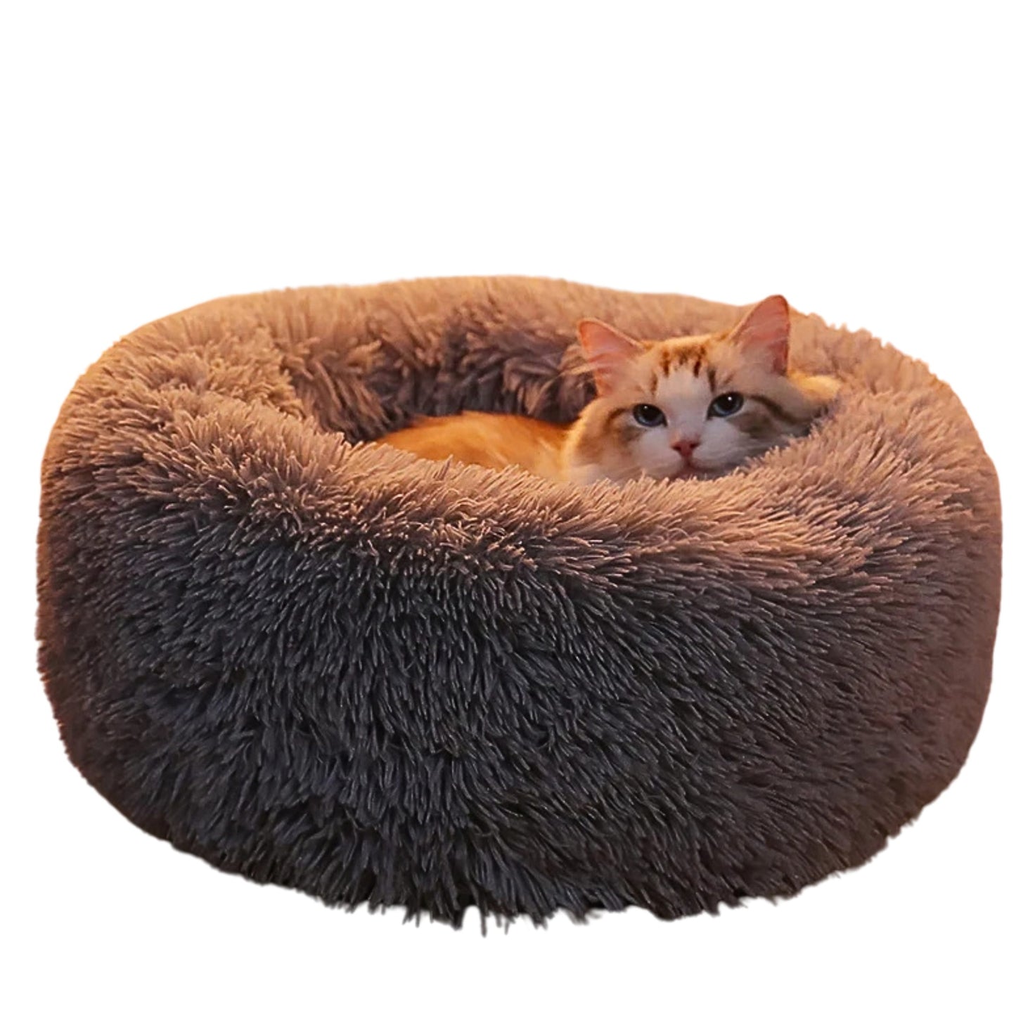 Coussin chat rond doux et lavable