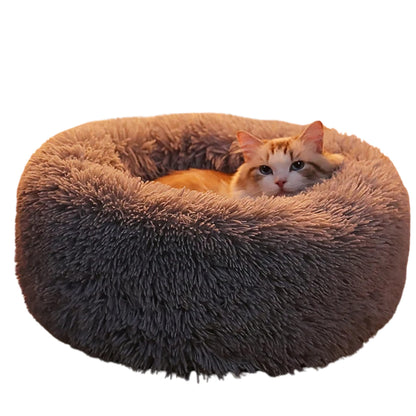 Coussin chat rond doux et lavable