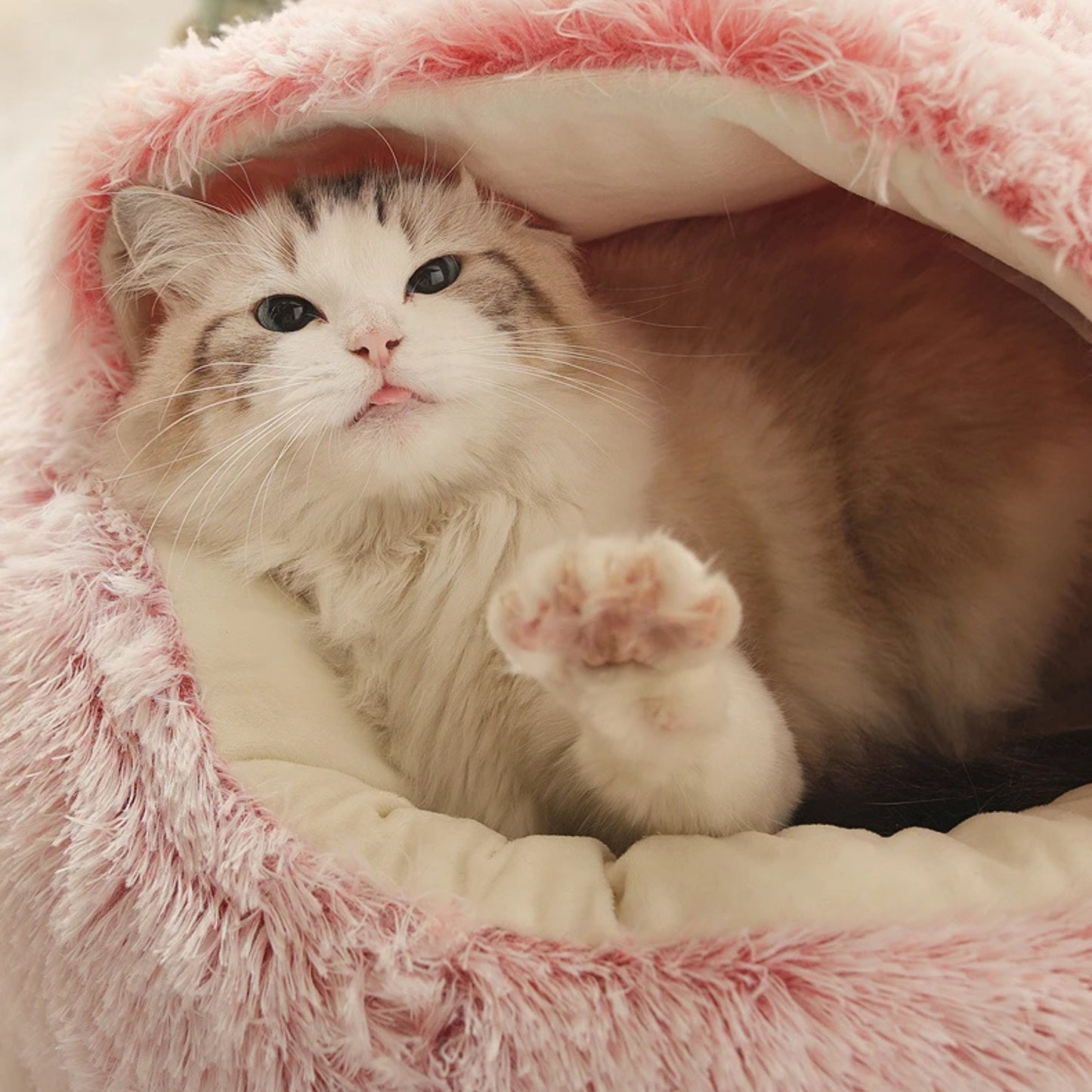Coussin chat rond en forme de nid