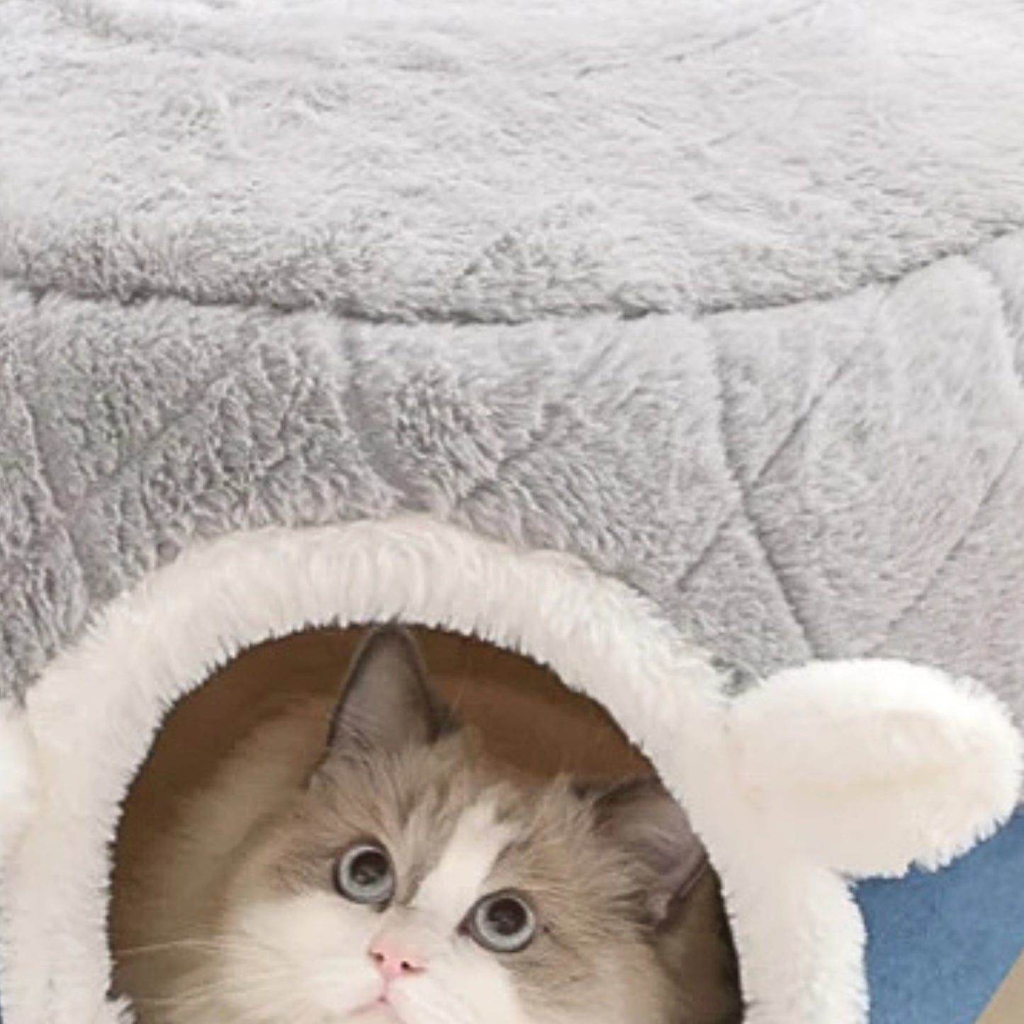 Coussin chat tout confort lavable
