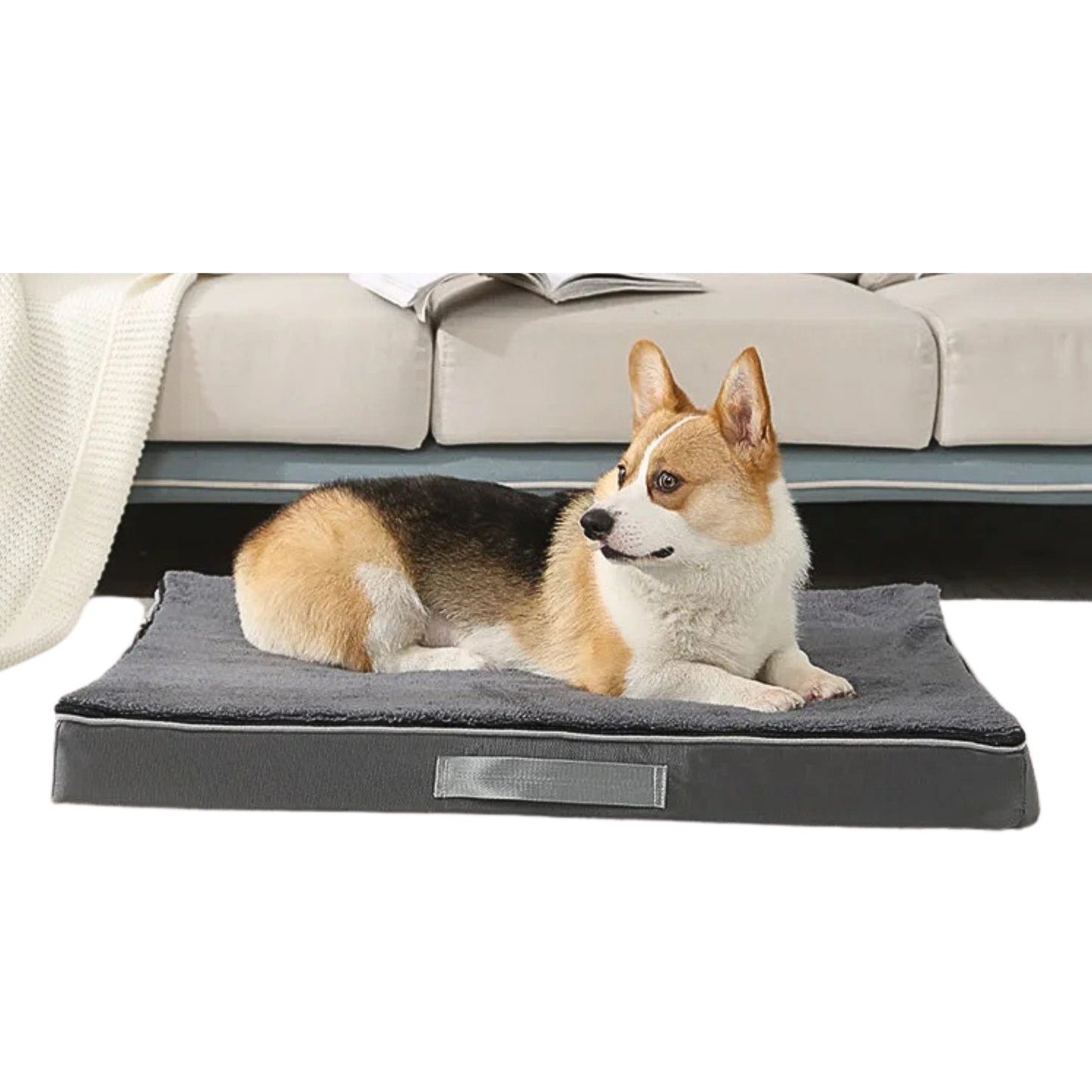 Coussin chien à mémoire de forme lavable