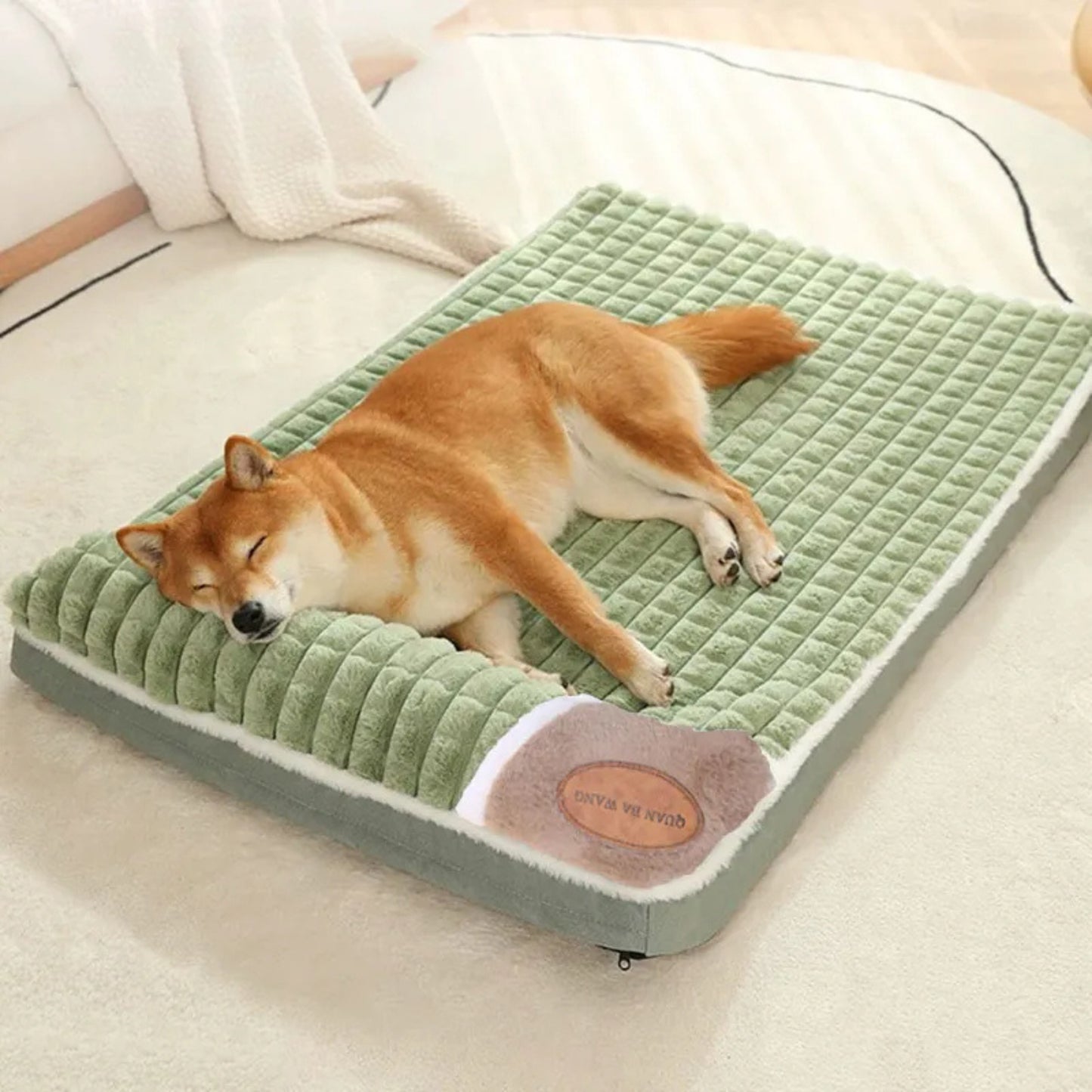 Coussin chien chaud avec poignée