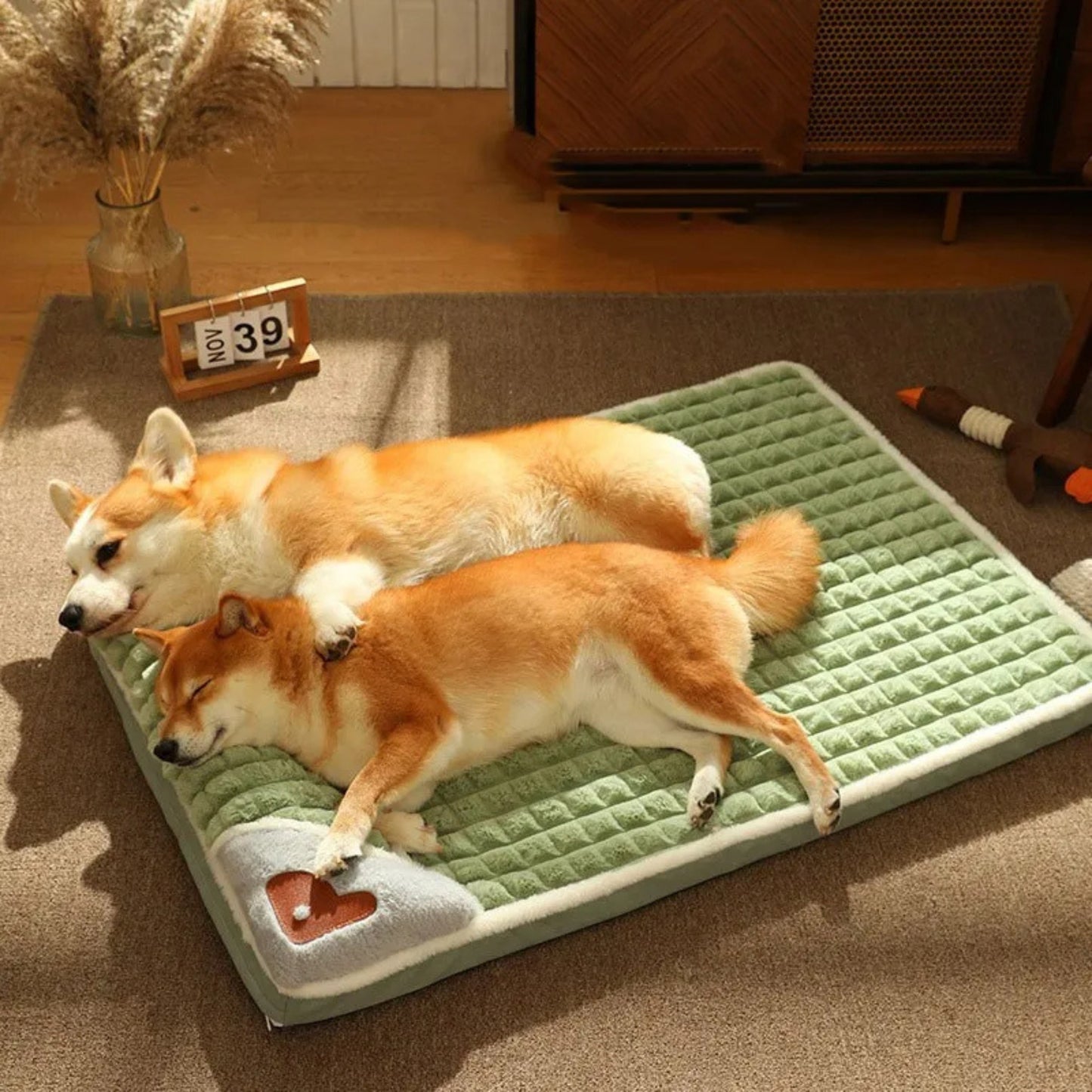 Coussin chien confortable avec mousse épaisse