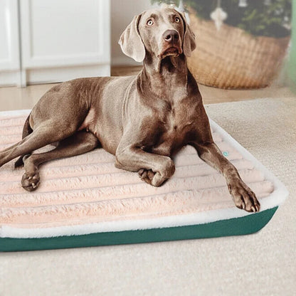 Coussin chien doux avec fermeture eclair