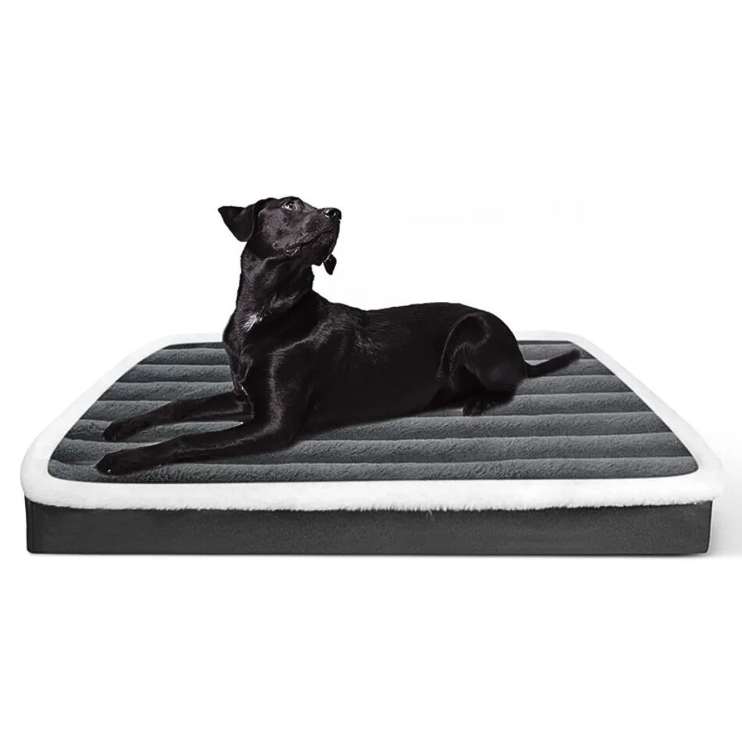 Coussin chien doux avec fermeture eclair