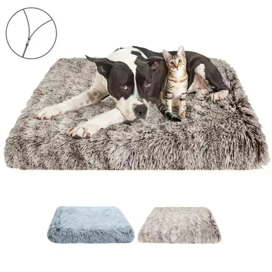 Coussin chien en peluche lavable