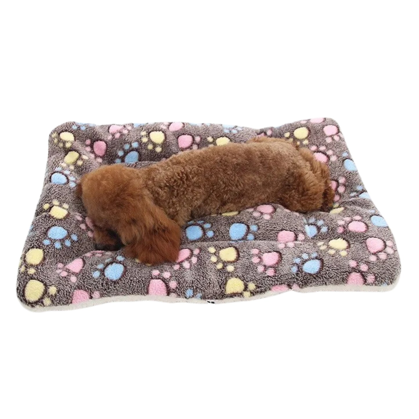 Coussin chien tapis de couchage